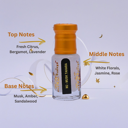 Perfume bottle with notes description on a light blue background