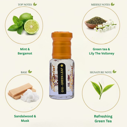 Fresh green perfume for men with clean leafy and herbal notes
